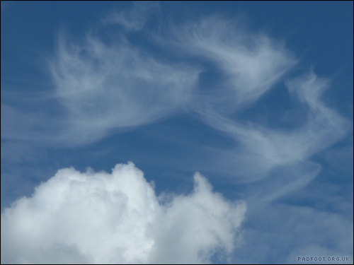 Dragon Goes Wild - Day 61 - Cloudscape